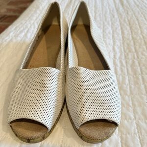 Aerosols walking shoe with small wedge